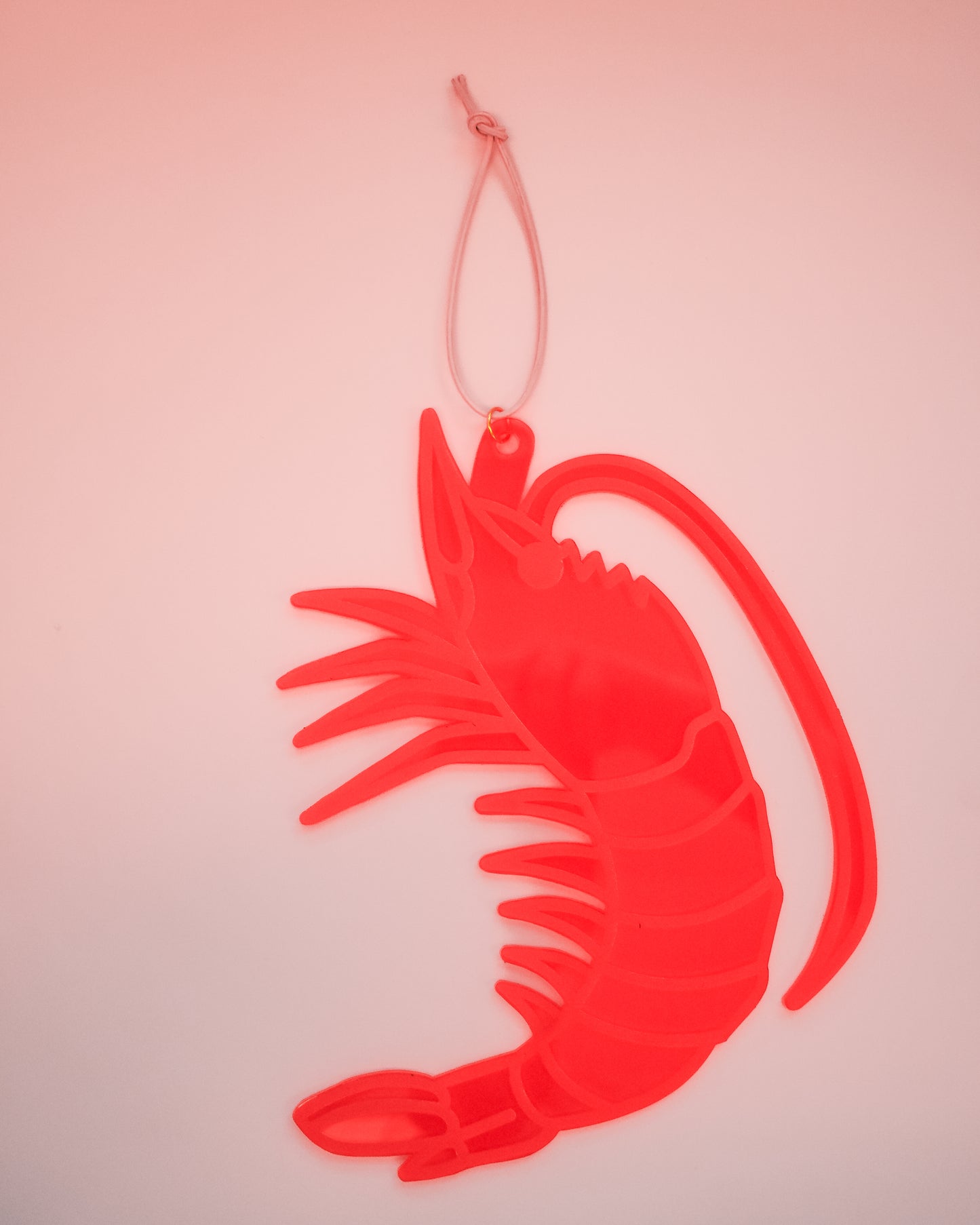 Shrimp Wall Hanging