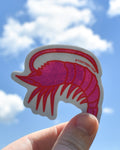 Shrimp Sticker