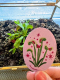 Venus Fly Trap Sticker