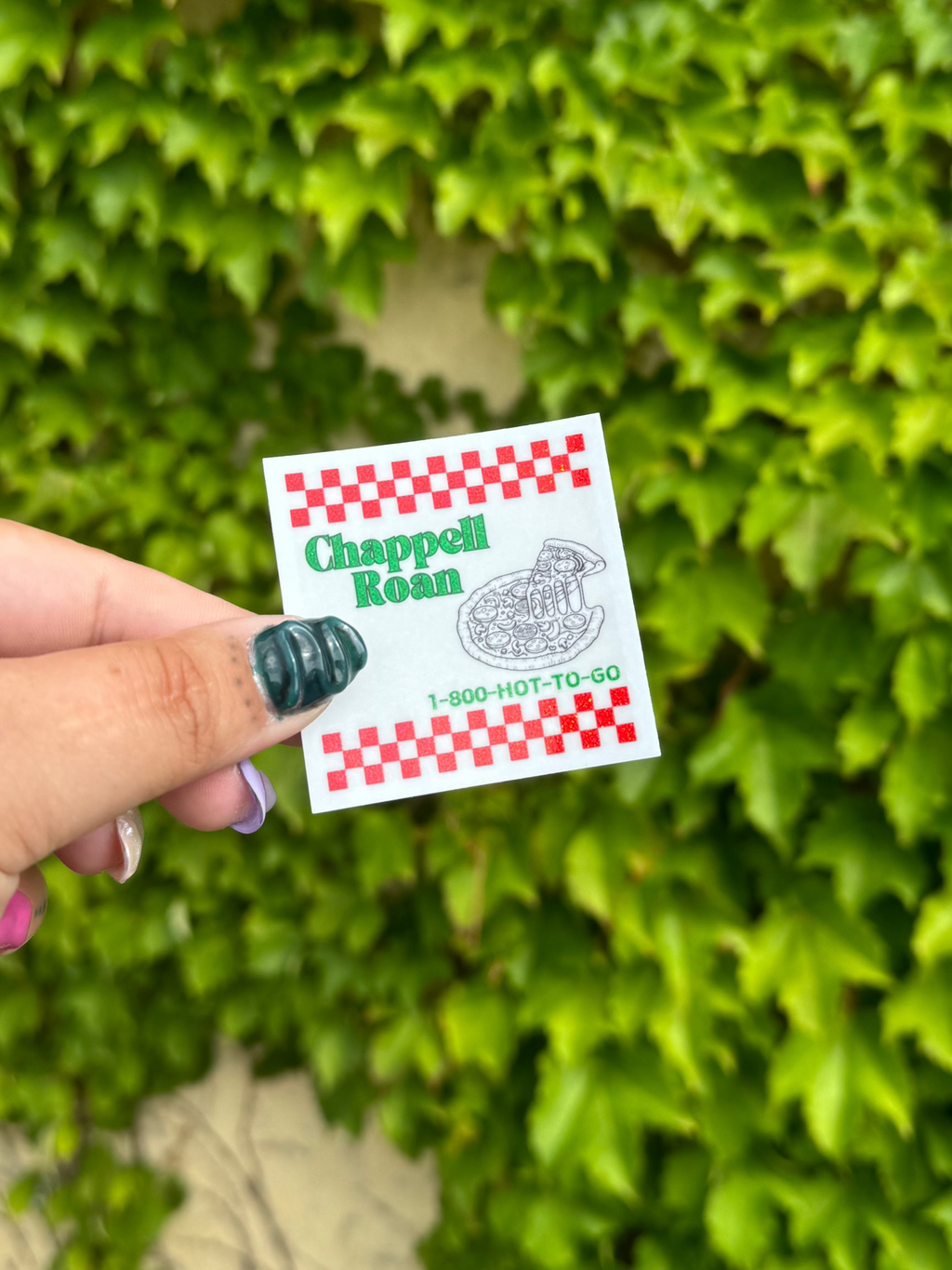 1-800-Hot-To-Go Sticker